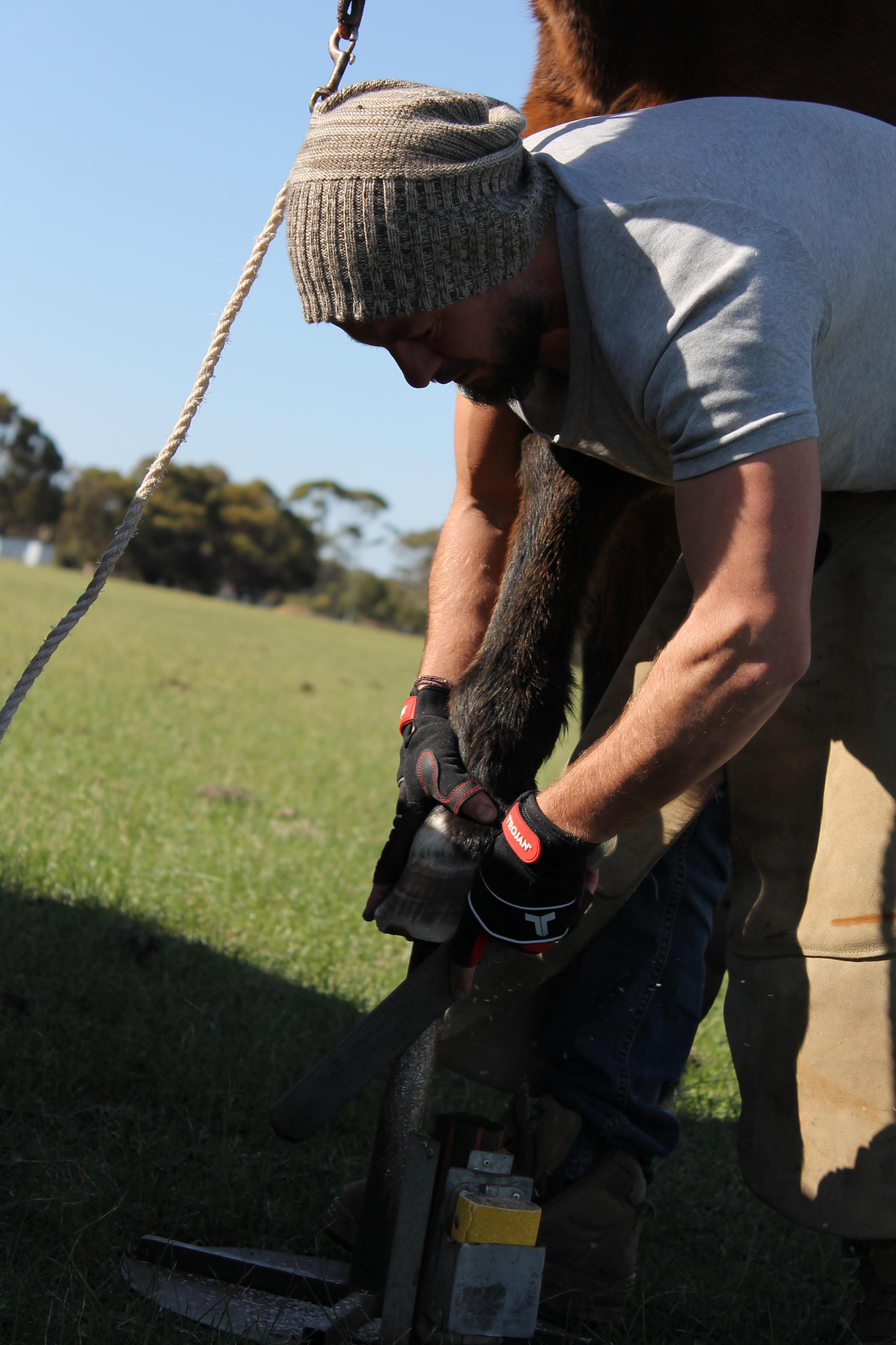 Barefoot hoof care
